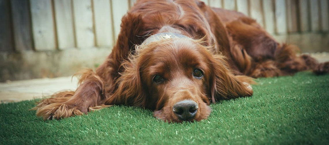 Rispondi al questionario on-line!