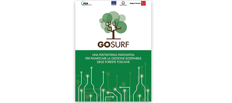  Brochure GO-SURF