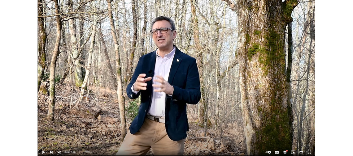 Un video per presentare GO SURF e la sua piattaforma DSS