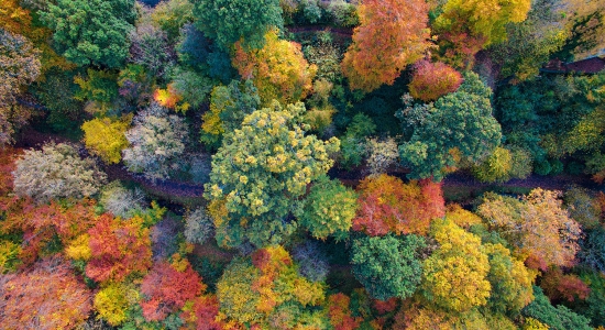 Corso gratuito su QGIS e QFIELD