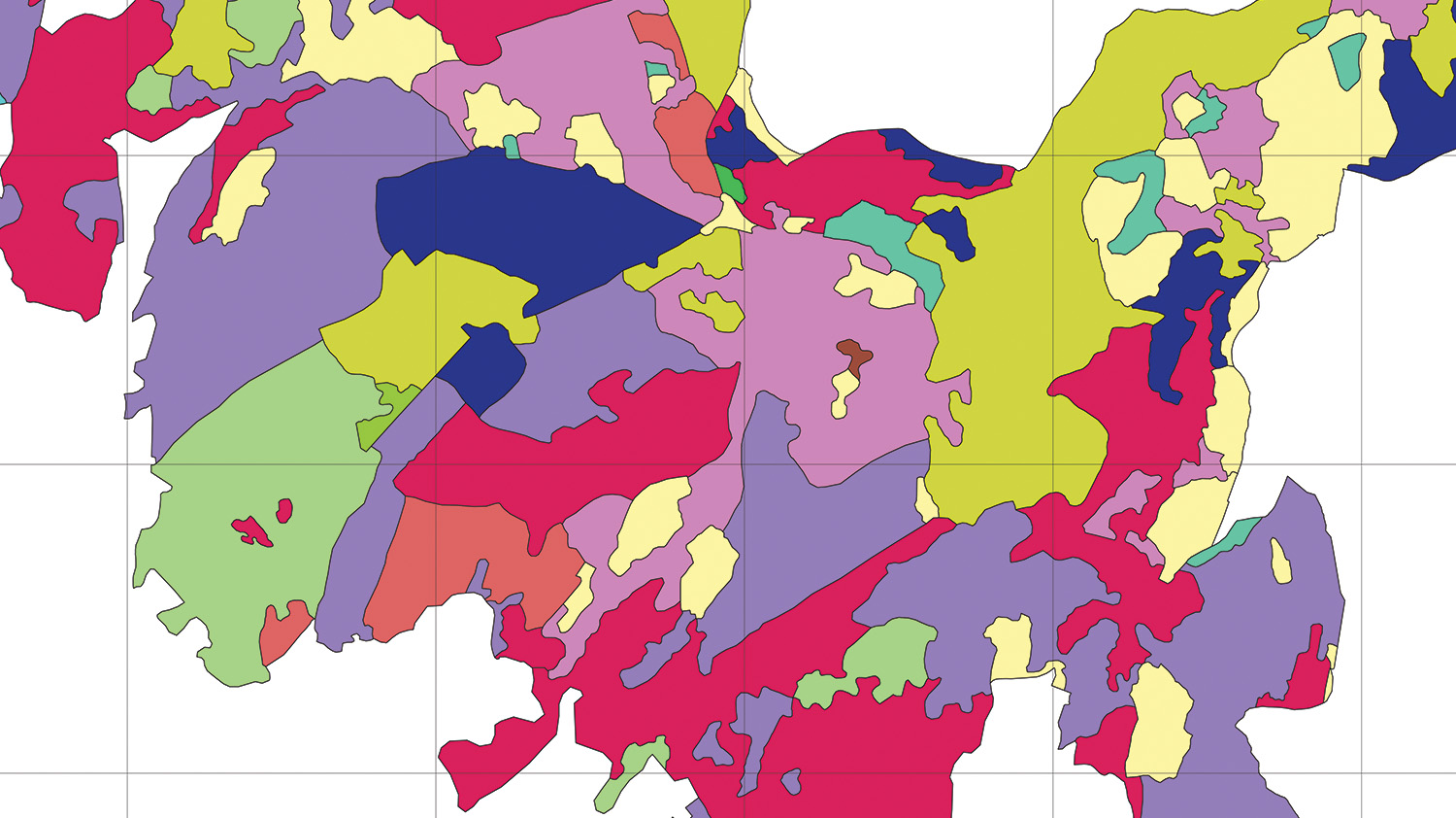 Predisposta la “chiave nomenclaturale” per la carta delle tipologie forestali
