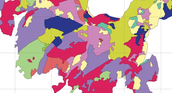 Predisposta la “chiave nomenclaturale” per la carta delle tipologie forestali