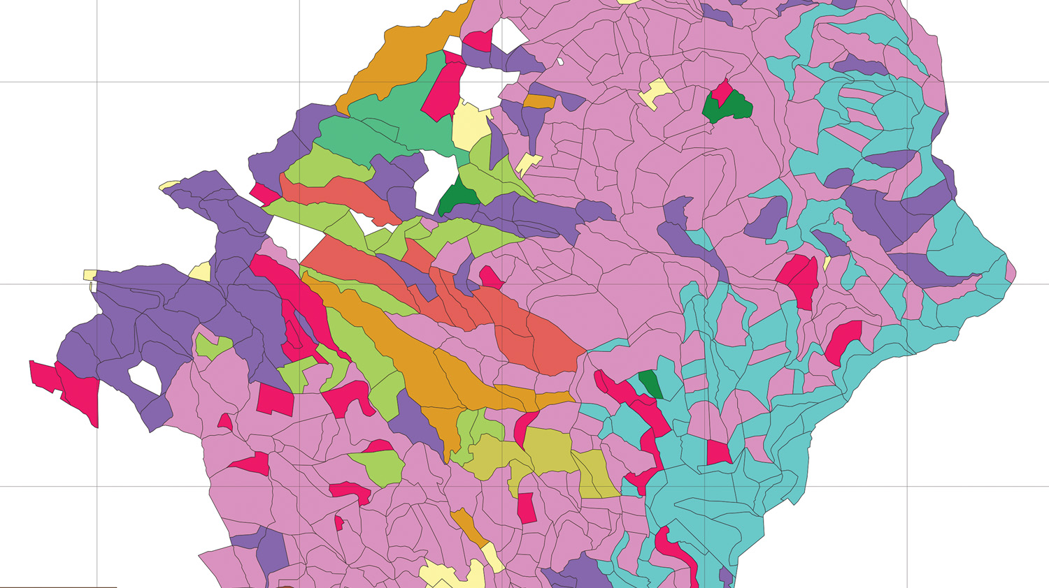 Terminata la realizzazione delle carte delle tipologie forestali sulle aree GO-SURF