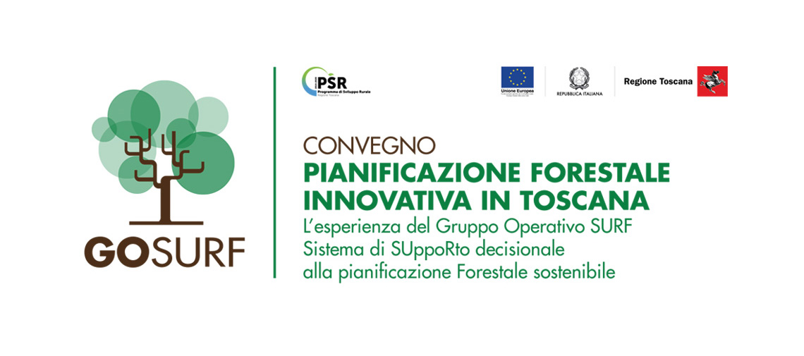 Convegno conclusivo del GO-SURF