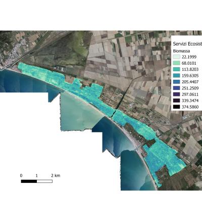Biomassa Pinete Litoranee