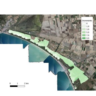 Incremento Pinete Litoranee